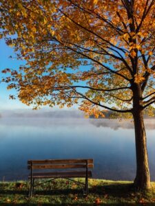 How trauma impacts mind, body and spirit by Vanessa May