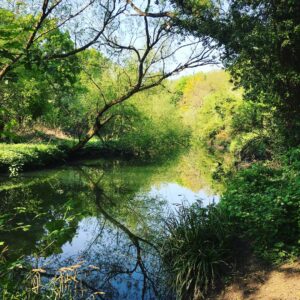 5 simple tips to reduce stress by Vanessa May